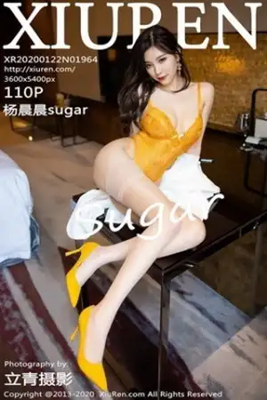 [XiuRen秀人网]No.1964 女神杨晨晨sugar私房精致镂空内衣配肉色蕾丝袜完美诱惑写真110P